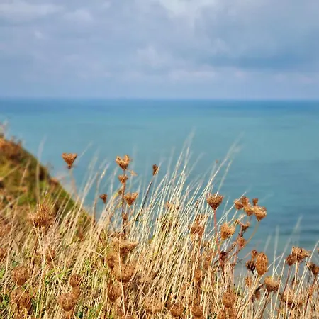 El Rio De Charmes Aux Portes D'etretat * Vattetot-sur-Mer