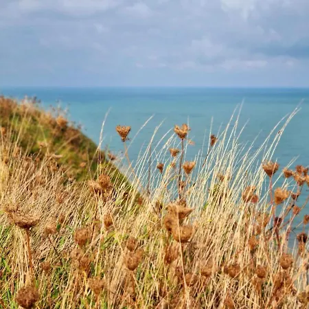 Tatil Evi El Rio De Charmes Aux Portes D'etretat *